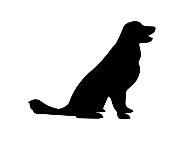 Silhouette Chien Sur Fond Blanc — Photo