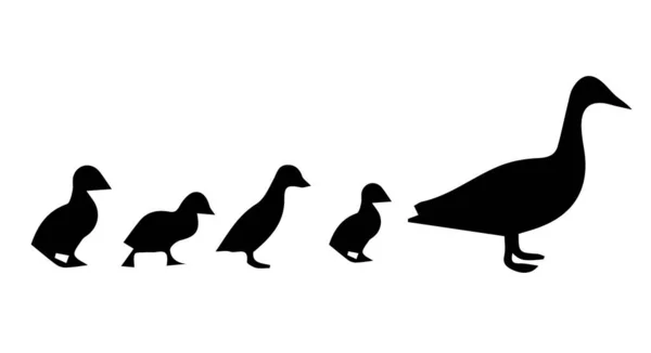 Silhouette Goose White Background — Stock Photo, Image