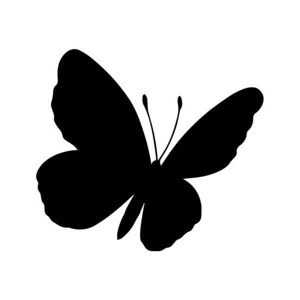 Silhouette Papillon Sur Fond Blanc — Photo