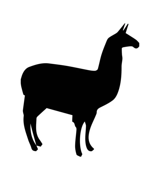 Silhouette Des Lamas Auf Weißem Hintergrund — Stockfoto