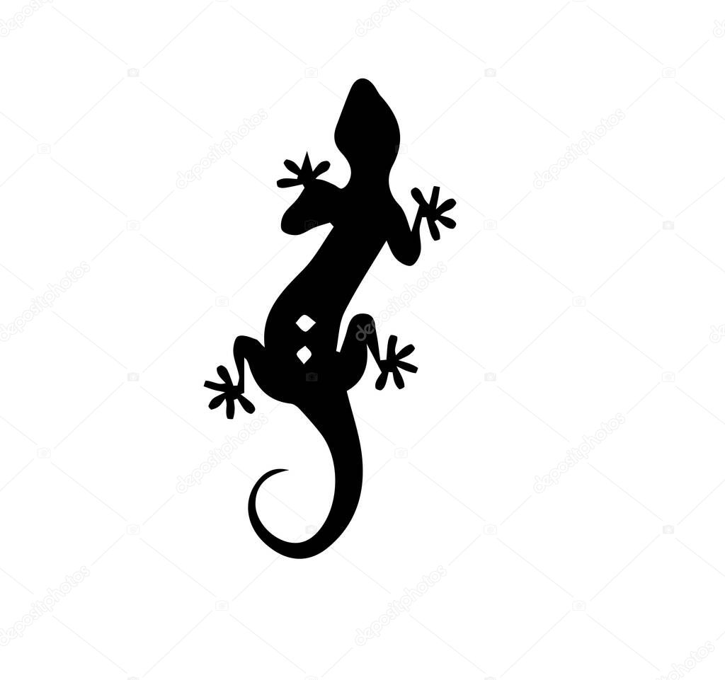Lizard silhouette on white background.