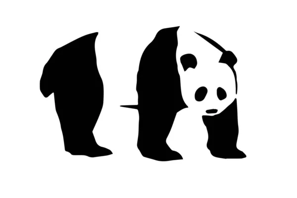 Panda Σιλουέτα Πάνω Από Λευκό Φόντο — Φωτογραφία Αρχείου