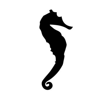 Beyaz arka planda deniz atı silueti