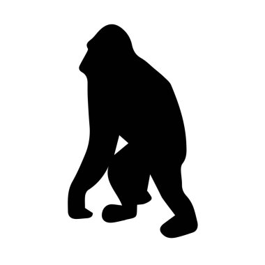 Beyaz arkaplanda orangutan silueti