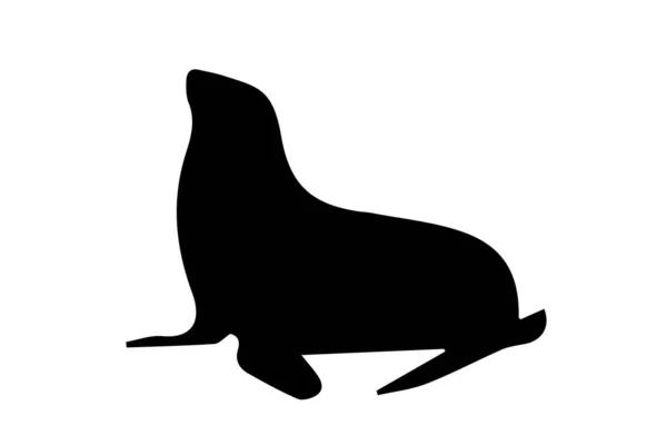 Silhouette Sea Lion White Background — Stock Photo, Image