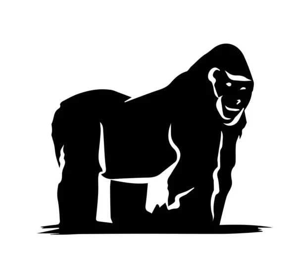 Silhouette Gorille Sur Fond Blanc — Photo