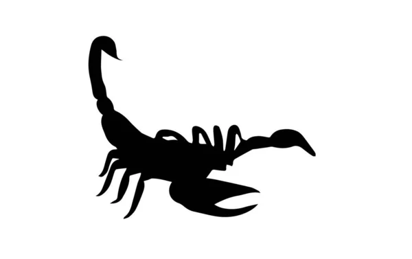 Silhouette Des Skorpions Auf Weißem Hintergrund — Stockfoto