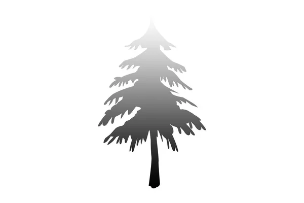 Zwarte Dennenboom Witte Achtergrond — Stockfoto