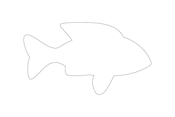 Silhouette of fish on white background — Stock Image Silhouette Fish White Background Stock Photo