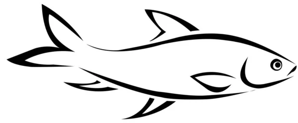 White fish on white background — Stock Image White Fish White Background Stock Picture