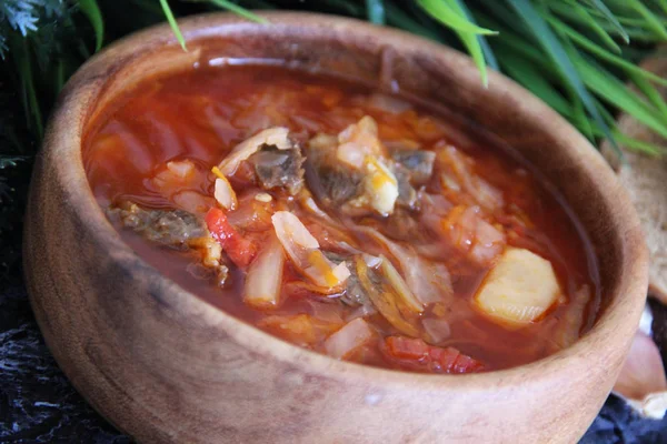 Hausgemachter Ukrainischer Borschtsch Mit Fleisch — Stockfoto