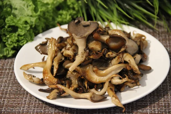 白盘上的油炸牡蛎蘑菇 — 图库照片