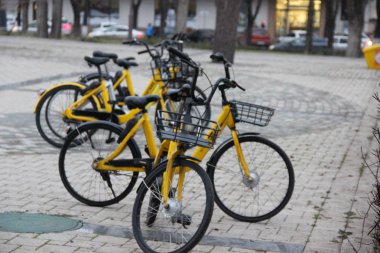 Yiyecek sepeti olan sarı bisikletler parka park edilmiştir. Bisiklet paylaşımı için kullanılır