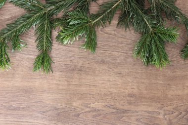 Konu çekimleri için metin ya da fotoğraf arkaplanı. Tahta arka planda Norman köknarı dalı var..