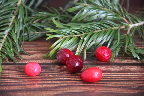 Cranberry Berries Wooden Table Fir Branches Large Close — Stock Photo, Image