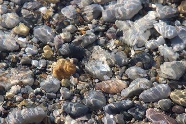 Denizin dibinde temiz su ile çakıl taşı. Kayalık taban, denizin dibinde çakıl taşları.