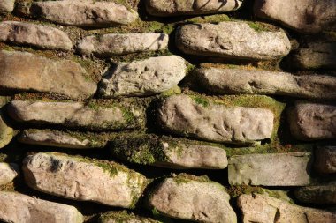 Düz taşlar duvara dikey olarak istiflenmiş ve sonbahar ormanlarında yosunlarla kaplanmış.