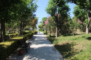 Yazın parktan denize giden yol.