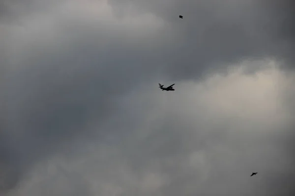 Het Vliegtuig Waaromheen Vogels Cirkelen Vliegt Tegen Achtergrond Van Stormwolken — Stockfoto