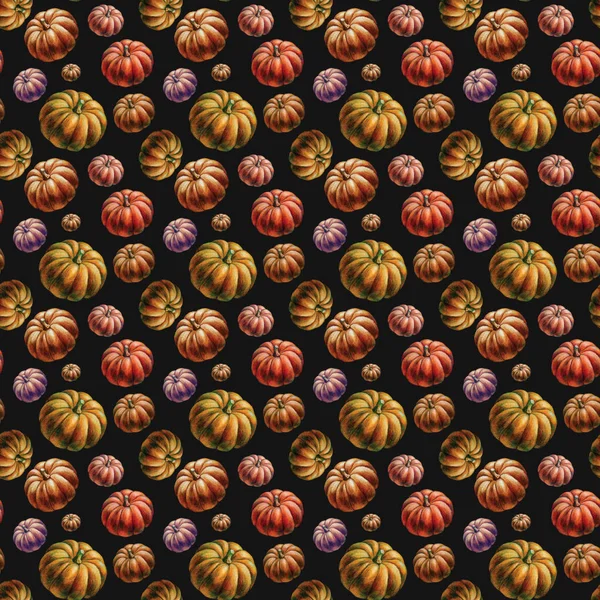 Seamless Halloween Pumpkin Harvest Background hand drawn pattern