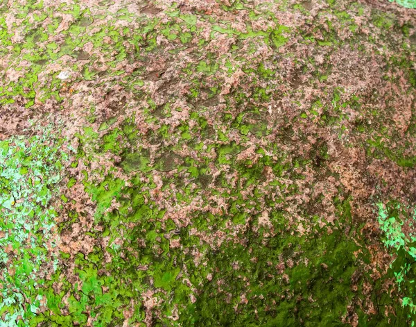 Vecchio Sfondo Pietra Granito Dipinto Giallo Verde Marrone — Foto Stock