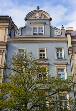 Eski Krakow merkez nane yeşili bina cephesi