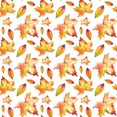 Kusursuz suluboya el çizilmiş sarı kırmızı sonbahar sonbahar yaprakları arka plan.