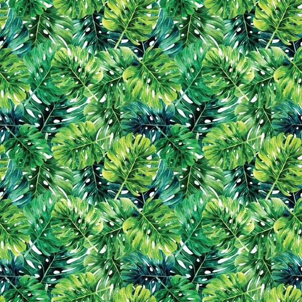 Seamless hand drawn watercolor monstera tropical paradise green nature botanical background pattern.