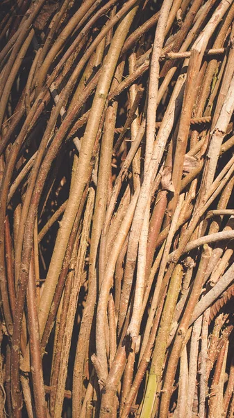 Eski kırsal kahverengi altın sarısı saman sarmaşığı dokusu sosyal çerçeve medya hikayesi standart boyut 9x16 dikey afiş arkaplanını vurguluyor. Mevsimsel sonbahar için hasat fikirleri