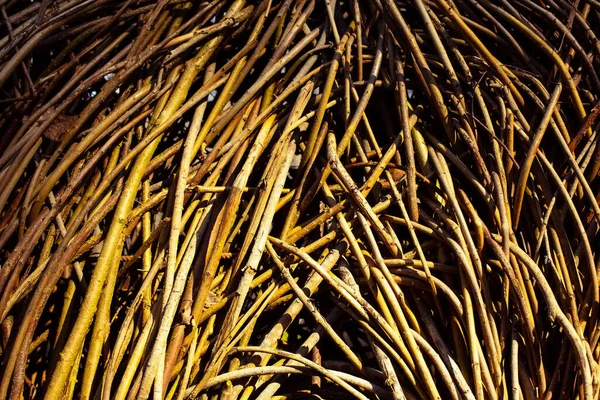 Eski kırsal kahverengi altın sarısı kuru saman sarmaşığı dokusu sıcak turuncu günbatımı ışık arkaplanı. Mevsimsel sonbahar için hasat fikirleri, menü, sunum, kart dekorasyonu