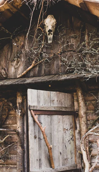 Geleneksel okült pagan efsanesi keçi kafatası ormanı karanlık peri masalı cadı evi fotoğrafı eski moda hipster solmuş siyah renkler. Sosyal ağ medya hikayesi için düşey standart