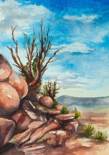 Handmålad Öken Grand Canyon National Park Akvarell Illustration — Stockfoto