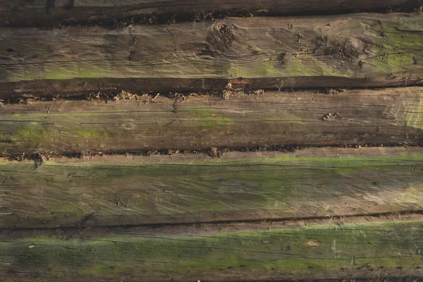 Старый Деревянный Настенный Пол Досок Возрасте Зеленым Мхом Ремонт Дома — стоковое фото