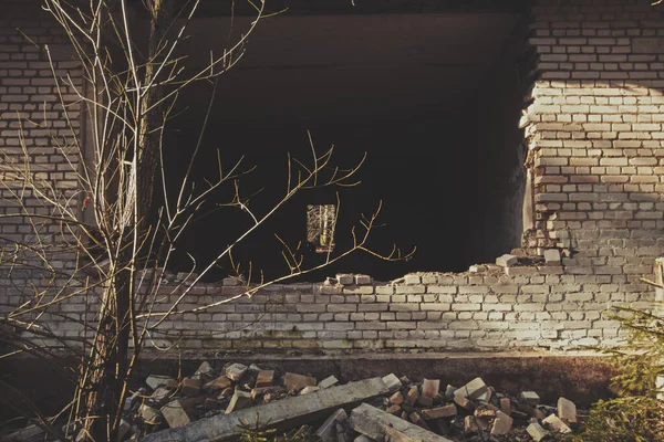 Oude Stenen Muur Van Een Verwoest Verlaten Huis Een Boom — Stockfoto