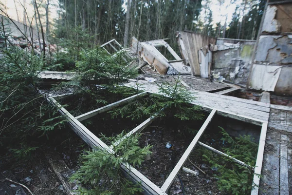 Oud Verlaten Sovjet Leeftijdskamp Beschadigde Gebouwen Het Bos — Stockfoto