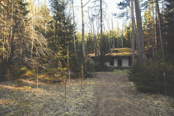 Ancien Camp Âge Soviétique Abandonné Bâtiments Endommagés Ruinés Dans Forêt — Photo