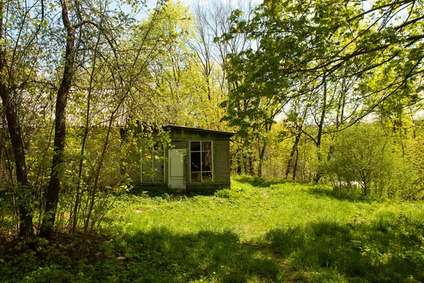 Oud Verlaten Dorpshuis Beschadigd Oud Gebouw Tuin Groene Bomen Gras — Stockfoto