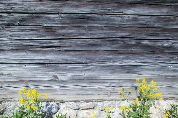 Old wooden plank board. House reparation, housework exterior and interior design wallpaper, background. Yellow flowers in front of the wall.