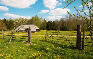 Hoş güneşli yaz manzarası: eski mavi gökyüzü ve bulutlar, yeşil çimenler, çayır üzerindeki sarı karahindiba çiçekleri ve eski tarihi kır binası. Mutlu, huzurlu bir manzara arka planı. Sıcak hava.