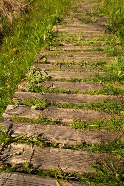 Eski sarı kahverengi ahşap yol ve yeşil çimenler kalasların arasından kırılıyor..