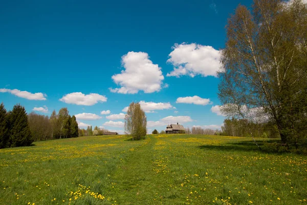 Hoş güneşli yaz manzarası: eski mavi gökyüzü ve bulutlar, yeşil çimenler, çayır üzerindeki sarı karahindiba çiçekleri ve eski Slav Ortodoks köy kilisesi binası. Mutlu, huzurlu bir manzara..