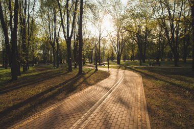 Güneşli bahar sabahının erken saatlerinde boş bisiklet yolu altyapısı. Parkta kimse yok, yeşil çimenler, ağaçlar ve mavi gökyüzü. Mutlu sıcak ışık ve parlak renkler.