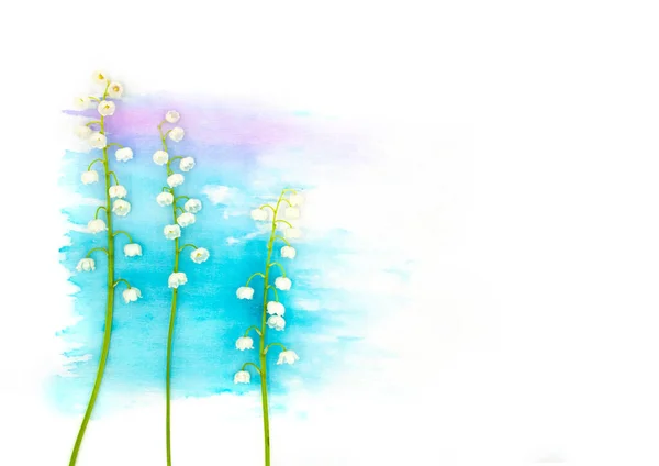 柔和的百合花可以在山谷的春花和手绘蓝色水彩斑斑的白色背景上 装饰元素 A4纸尺寸照片 免费空白文本复制空间 — 图库照片