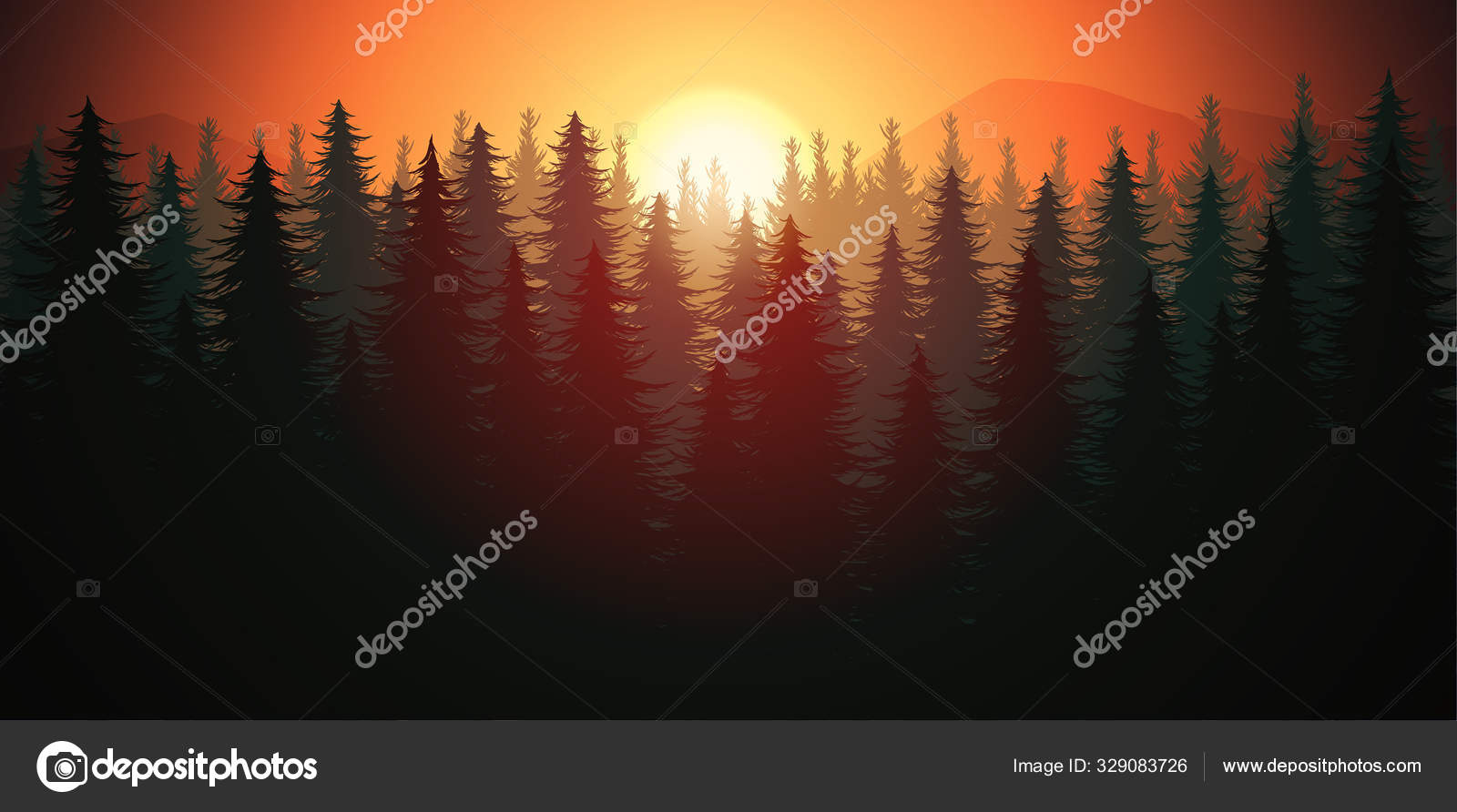 Natureza Floresta Natural Pinho Floresta Montanhas Horizonte Natureza Floresta Natural Pinho Floresta Montanhas Horizonte