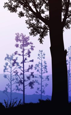 Doğal orman dağları ufuk tepeleri ağaç siluetleri. Gün doğumu ve gün batımı. Peyzaj duvar kağıdı. Çizim vektör stili. Renkli görünüm arkaplanı.