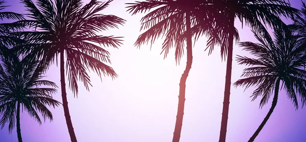 Des Cocotiers Naturels Montagnes Horizon Collines Silhouettes Palmiers Collines Lever — Image vectorielle