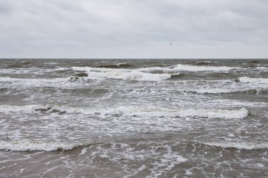 Deniz kenarındaki deniz dalgaları bulutlu ve fırtınalı bir kış günü sahile yakın. Fotoğraf Letonya 'da çekildi.