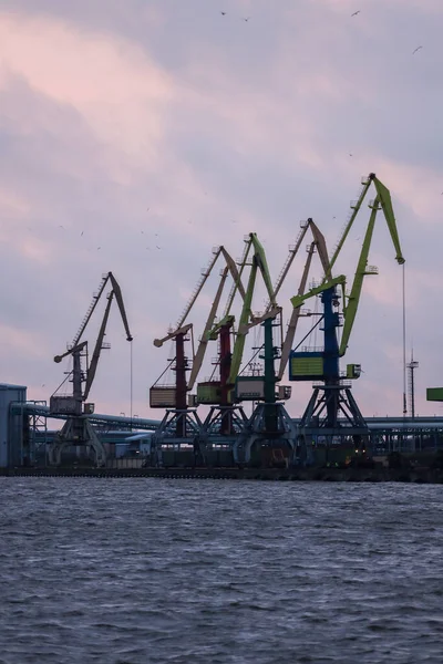 Vista do pôr do sol do porto de doca de transporte com vários guindastes de carga grandes — Fotografia de Stock