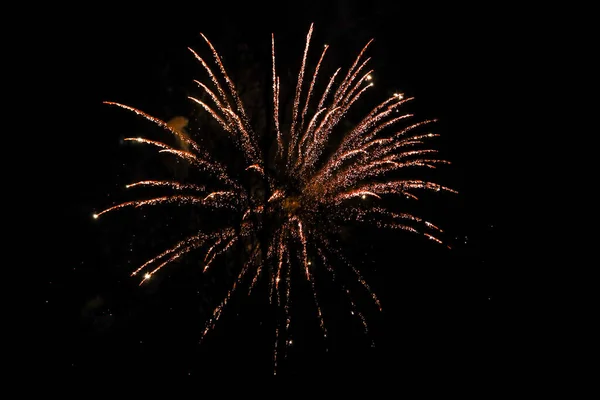 Beautiful new years firework celebration in black evening sky. — Stock Photo, Image