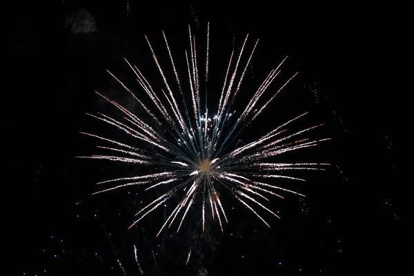 Beautiful new years firework celebration in black evening sky. — Stock Photo, Image